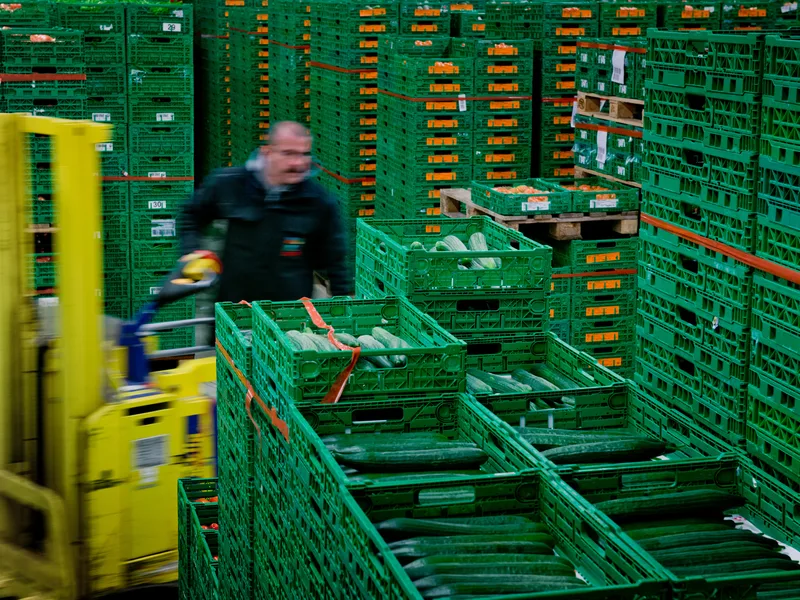 Entrepôt logistique de produits frais : manutentionnaire parmi des caisses de légumes