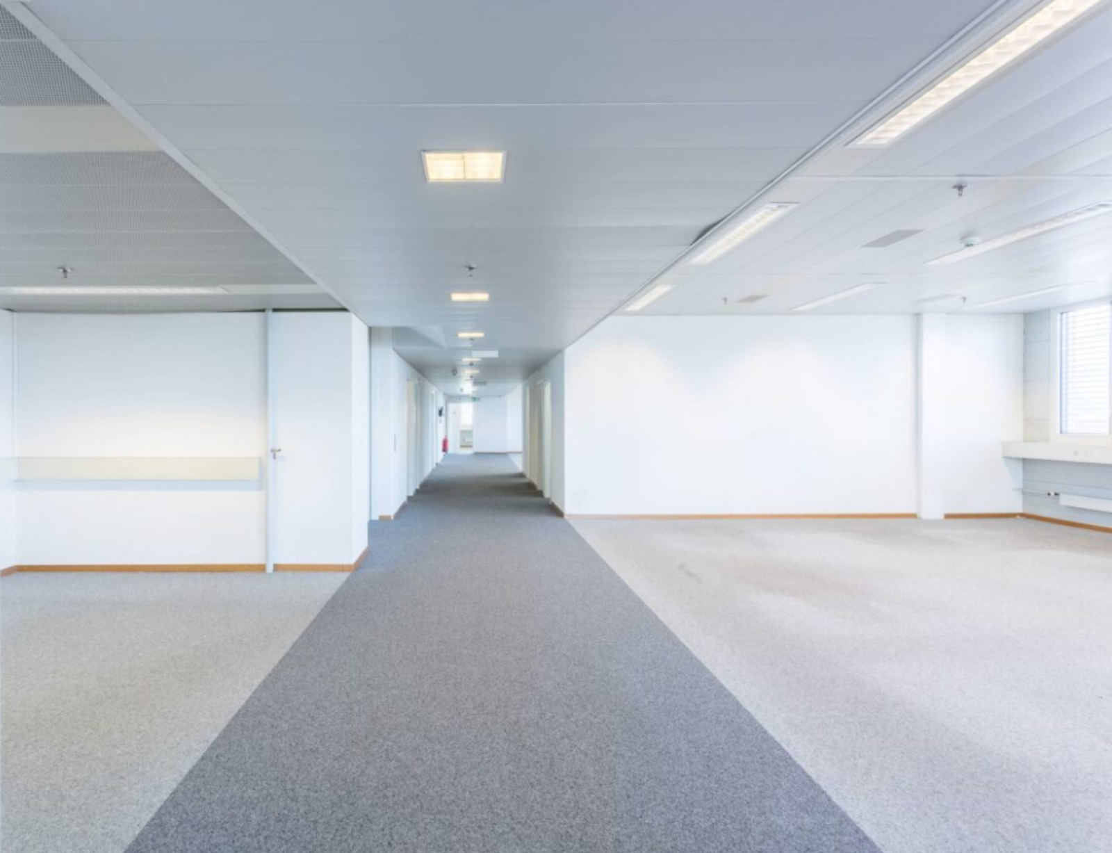 Local administratif à louer – 1082 m² – ZIMEYSA – Pré-Bouvier 7 – Satigny